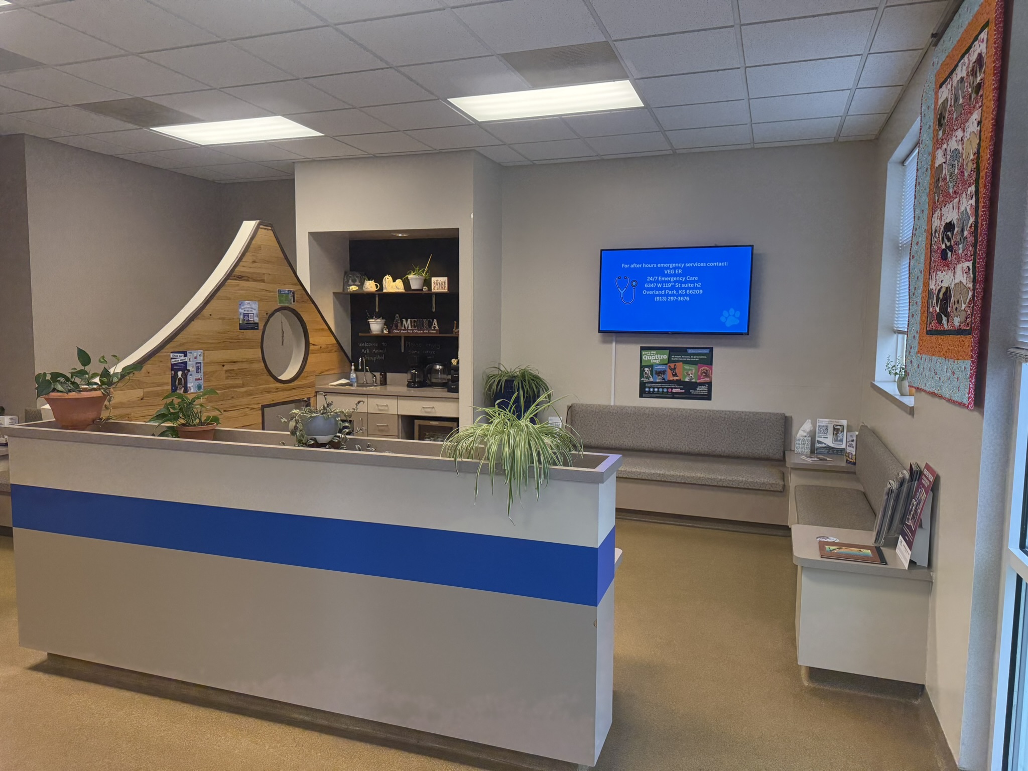 Front desk and waiting area inside an Ark Animal Hospital veterinary clinic 