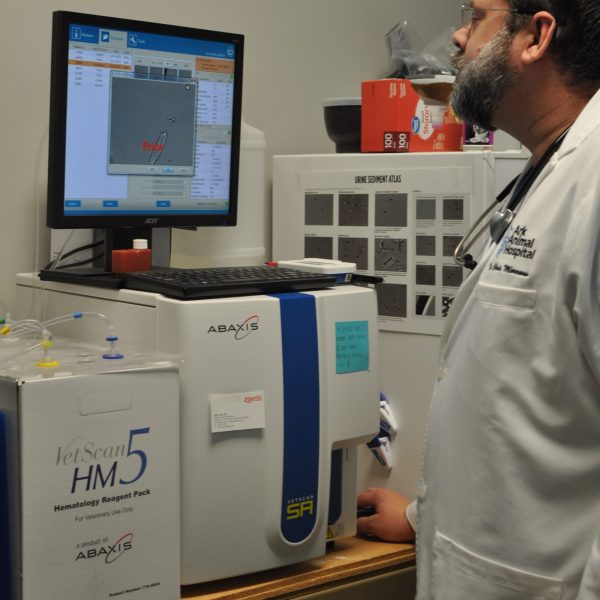 Dr. Read reviewing test results