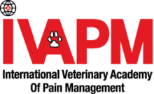 ivapm-logo